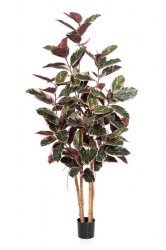 56707NR-iskusstvennyi-fikus-red-ruby-200-cm